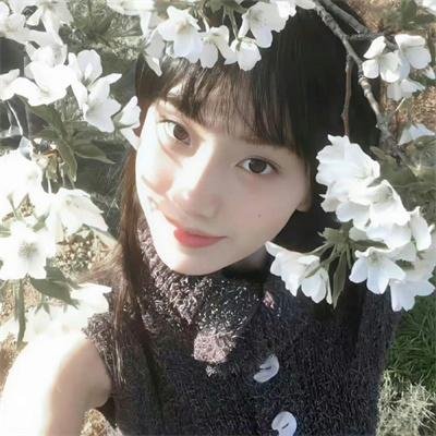 睡美人的诅咒封面